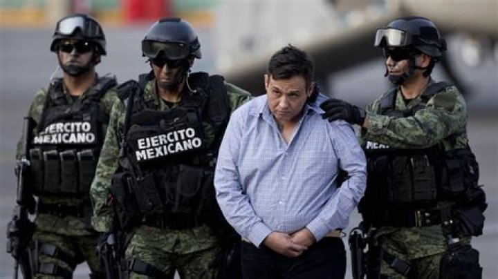 Unveiling The Shocking Truths Of Mexico's Drug Cartel Violence