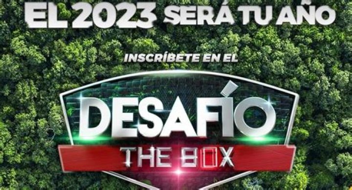 Unveiling The Thrills And Lessons Of Desafio The Box 2023