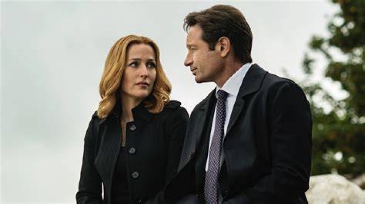 Unveiling The Truth: David Duchovny's Fatherhood Journey
