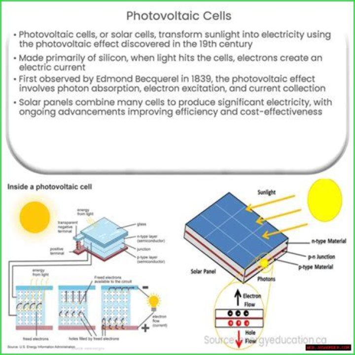 Unveiling The Visionary Behind Solar Power's Rise