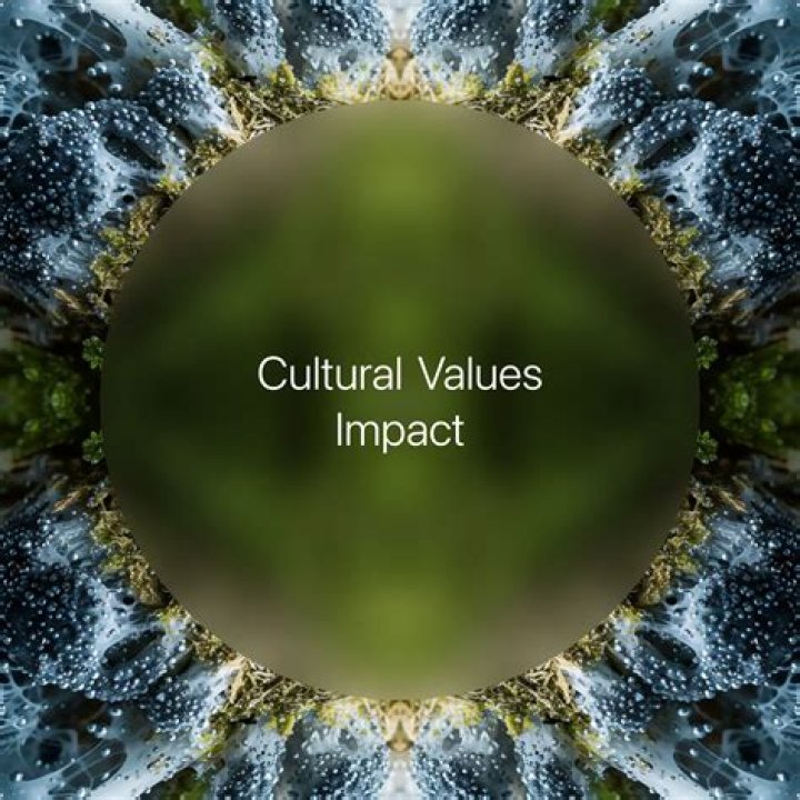 Unveiling Their Values And Impact