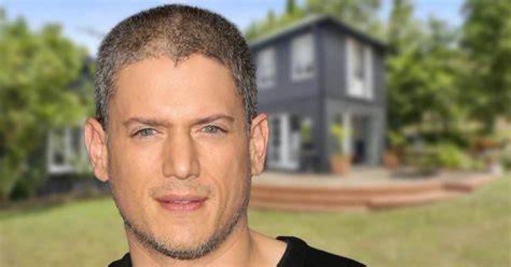 Unveiling Wentworth Miller's Net Worth: Secrets And Surprises Revealed