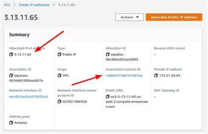 Using Elastic IP addresses in Amazon EC2 — Boto3 Docs 1.16.24 documentation