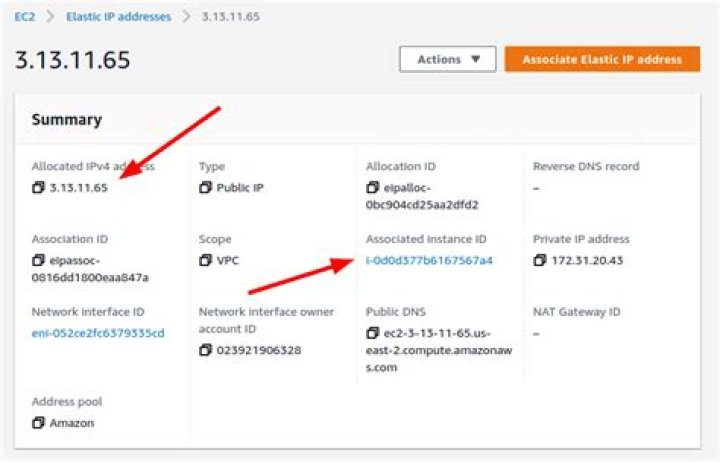 Using Elastic IP addresses in Amazon EC2 — Boto3 Docs 1.17.89 documentation