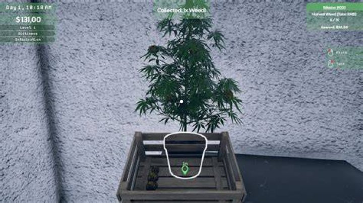 video game weed strain - gushers weed strain
