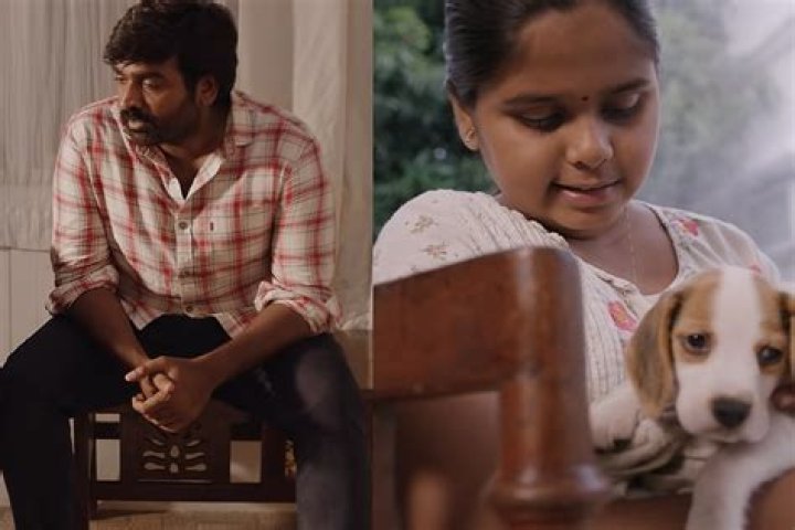 Vijay Sethupathi Daughter: A Glimpse into Sreeja Sethupathi's Private World