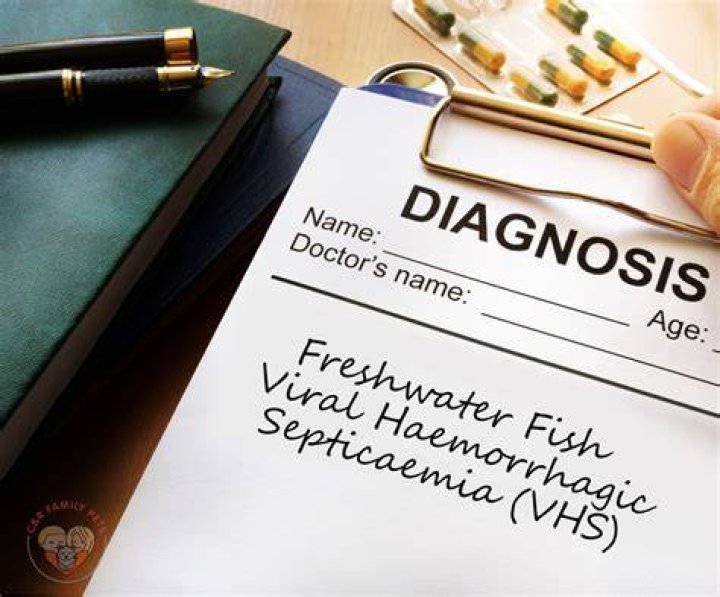 Viral haemorrhagic septicaemia (VHS) - GOV.UK