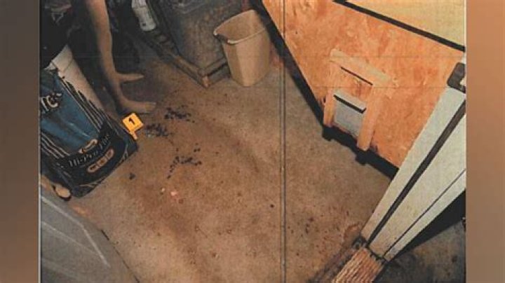 Wade Wilson Crime Scene Photos: Unpacking the Mystery Behind a Fictional Figure