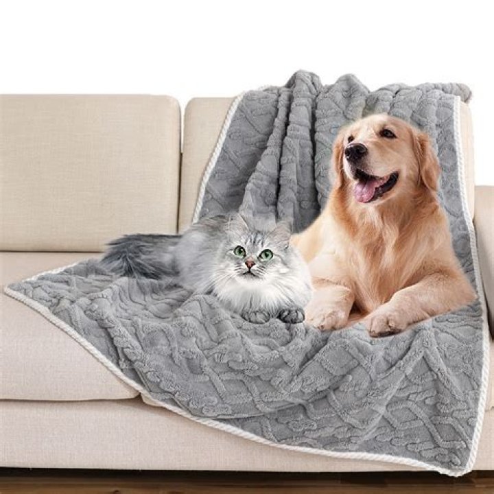 walmart fleece photo blanket - Pet Blanket
