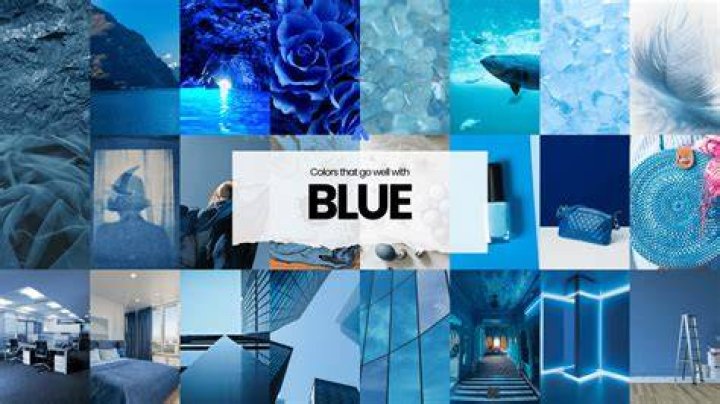 Web Design Blue Mountains Price
