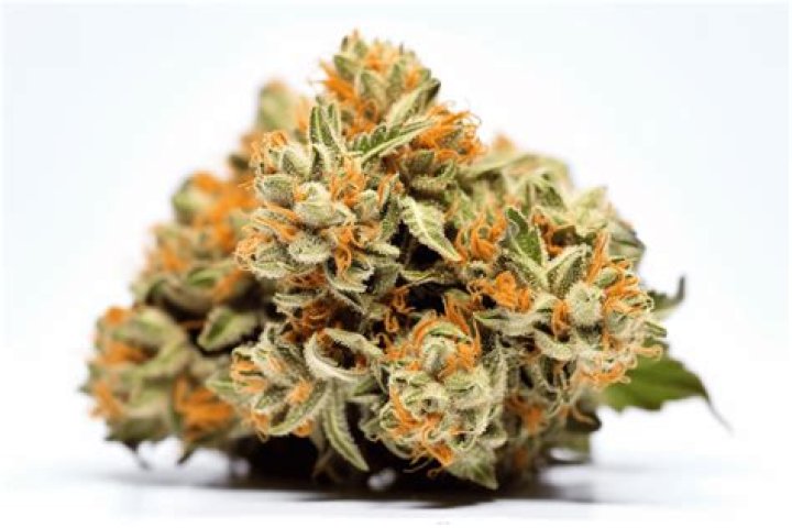 weed strain bubba - gushers weed strain