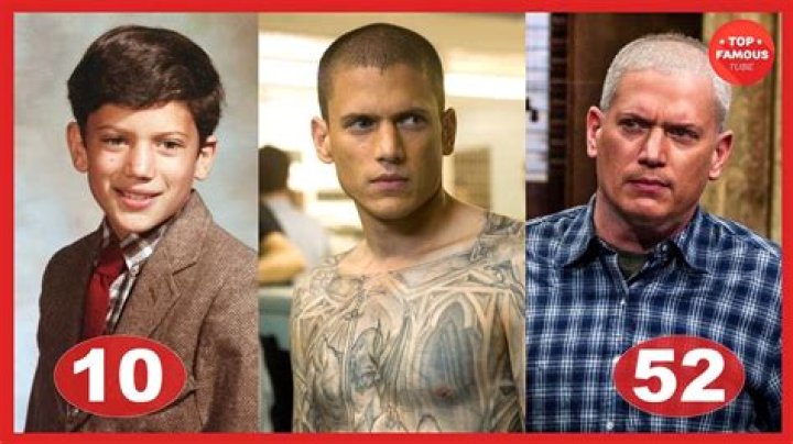 Wentworth Miller: A Look at the Actor's Remarkable Career and Future