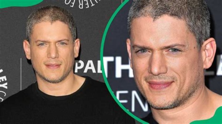 Wentworth Miller Engaged: What We Know About the Star's Big News Today