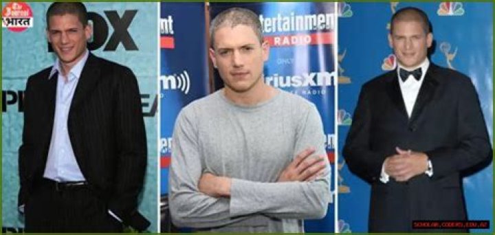 Wentworth Miller Wife Name: Unraveling the Actor's Relationship Status Today