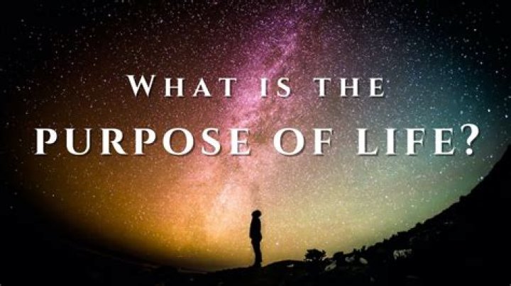 What Is Patricia Lofton Doing Now? Exploring a Life of Purpose