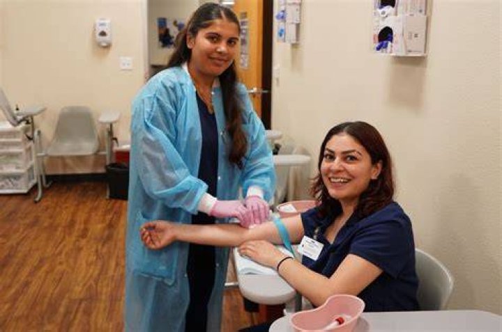 What Schools Offer Phlebotomy Training East Boston MA