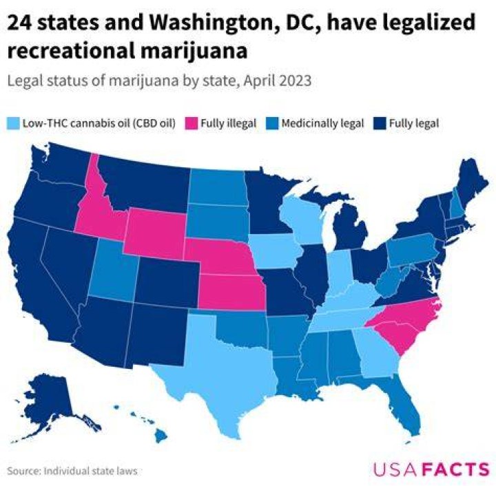 Where To Buy Marijuana Seeds In Charleston Maine
