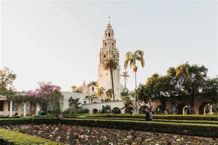 Where To Buy Marijuana Seeds In San Diego