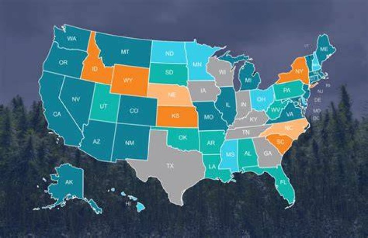 Where To Buy Marijuana Seeds In Wyoming Minnesota