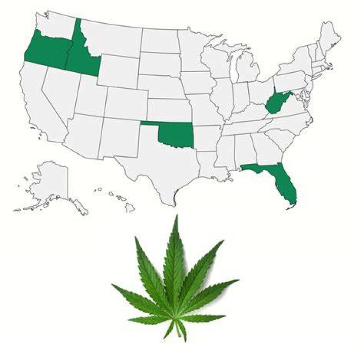 Where To Order Marijuana Seeds In Michigan