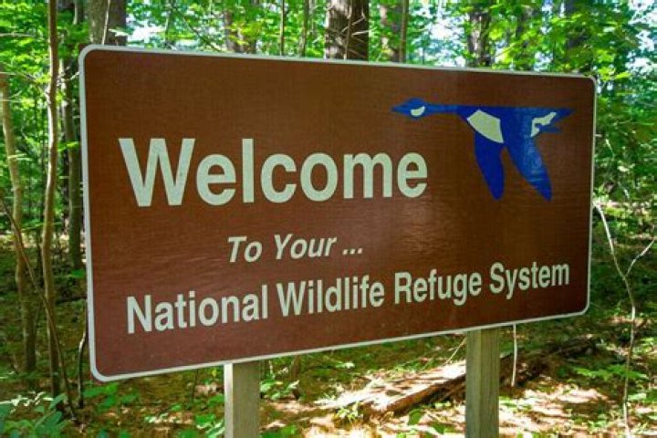 where was the first wildlife refuge formed in 1903 - 23-Apr-19