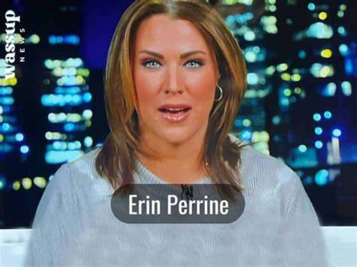 Who Is The American Journalist Erin Perrine?