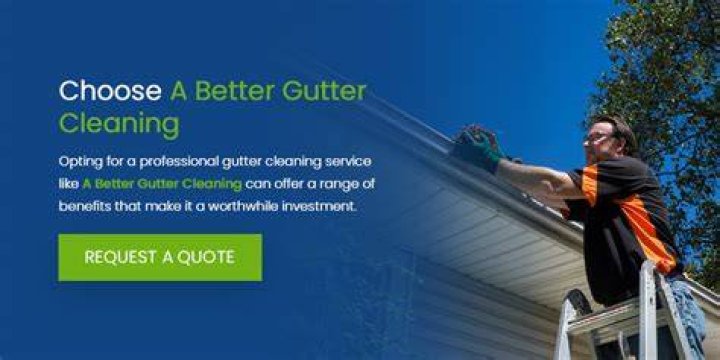 Why Do Homeowners Choose Professional Gutter Cleaners in Pittsburgh?