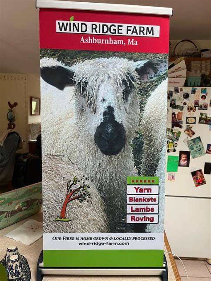 Wool Arts Tour NH - Spinner Farm